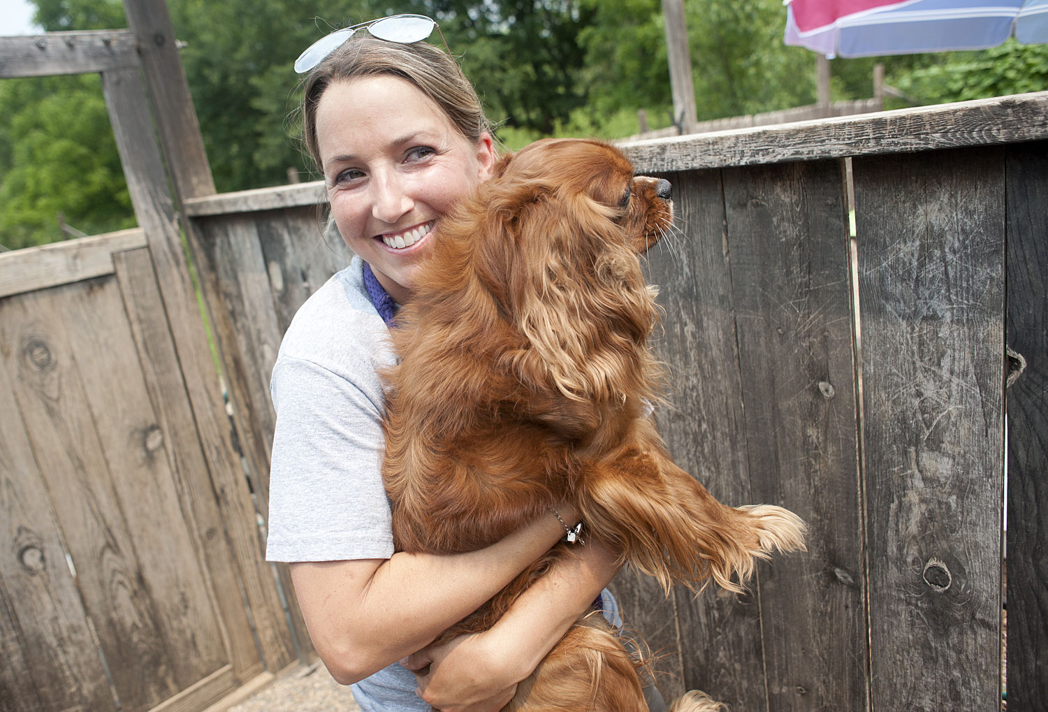 Dog Daycare Business